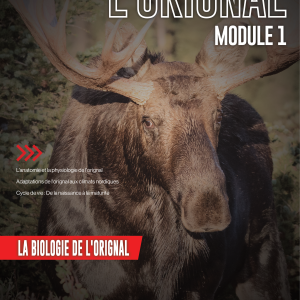 vignette du cours