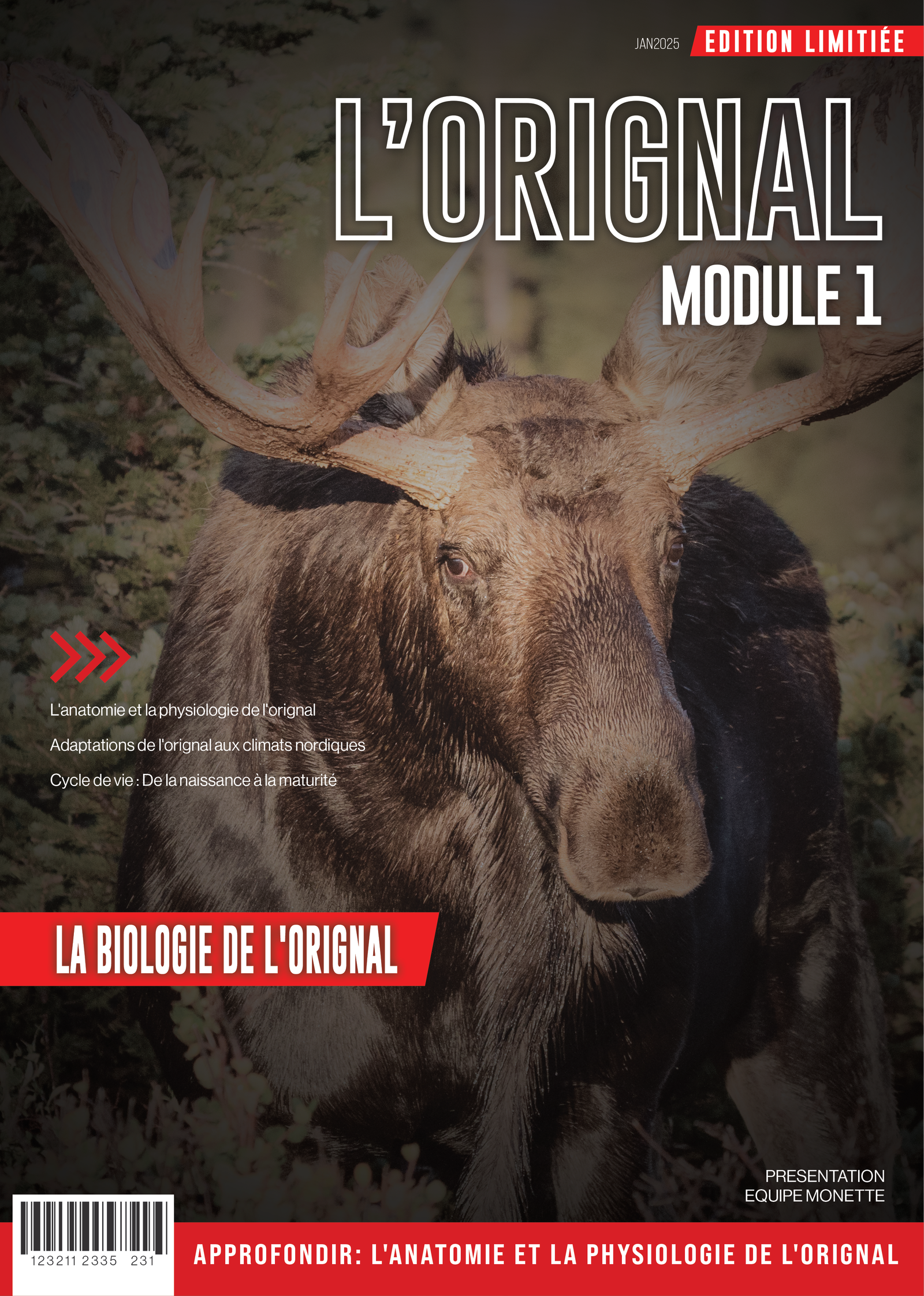 Biologie-de-base-de-l’orignal