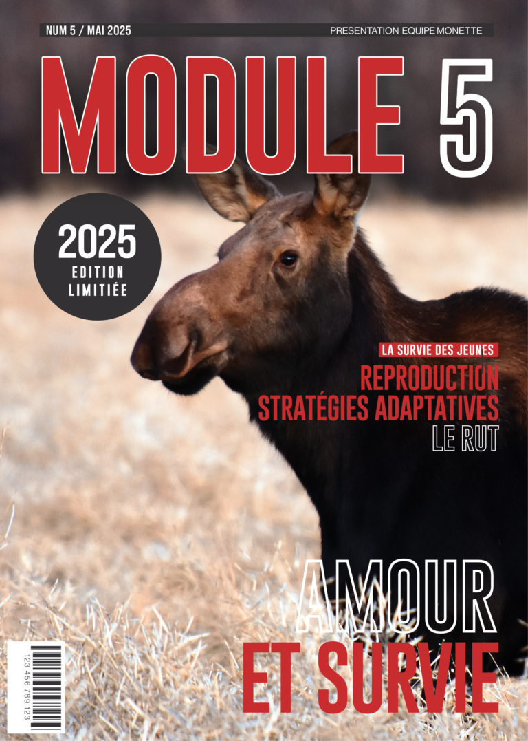 Academie Outdoor MODULE 05 Amour et survie