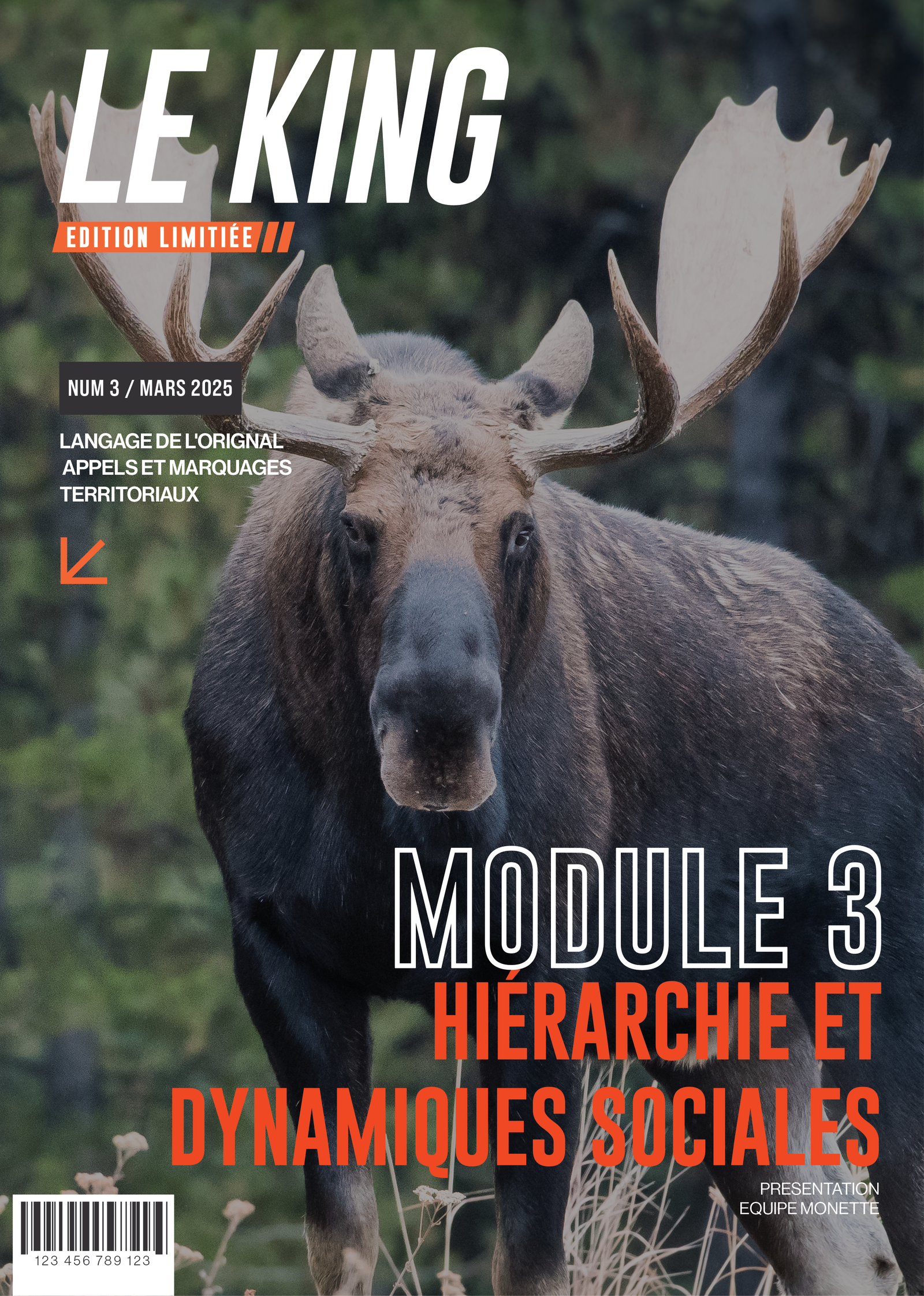 Module-03-Hiérarchie-et-dynamiques-sociales