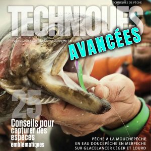 vignette du cours