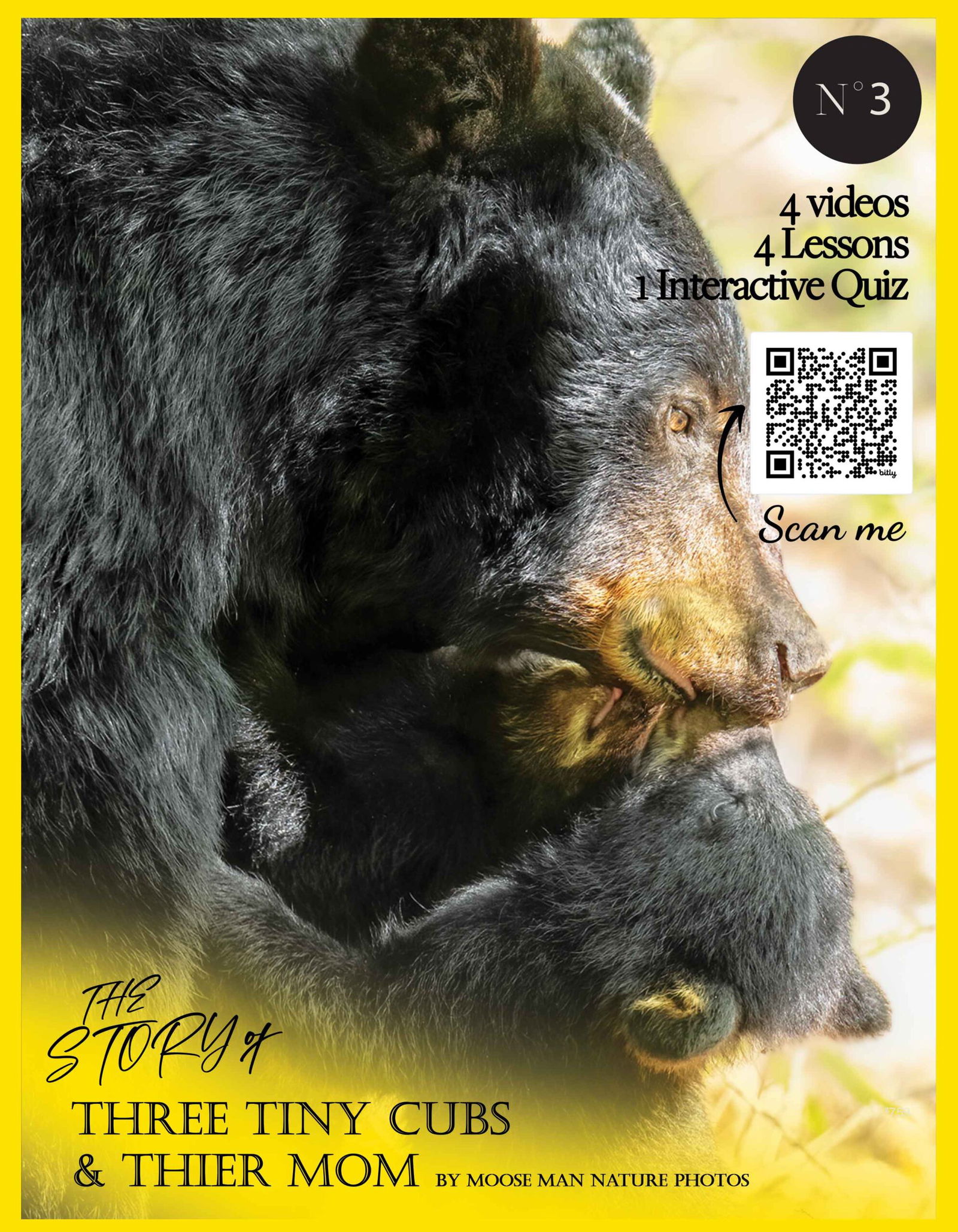 Video-Baby-Black-Bears-Part-3