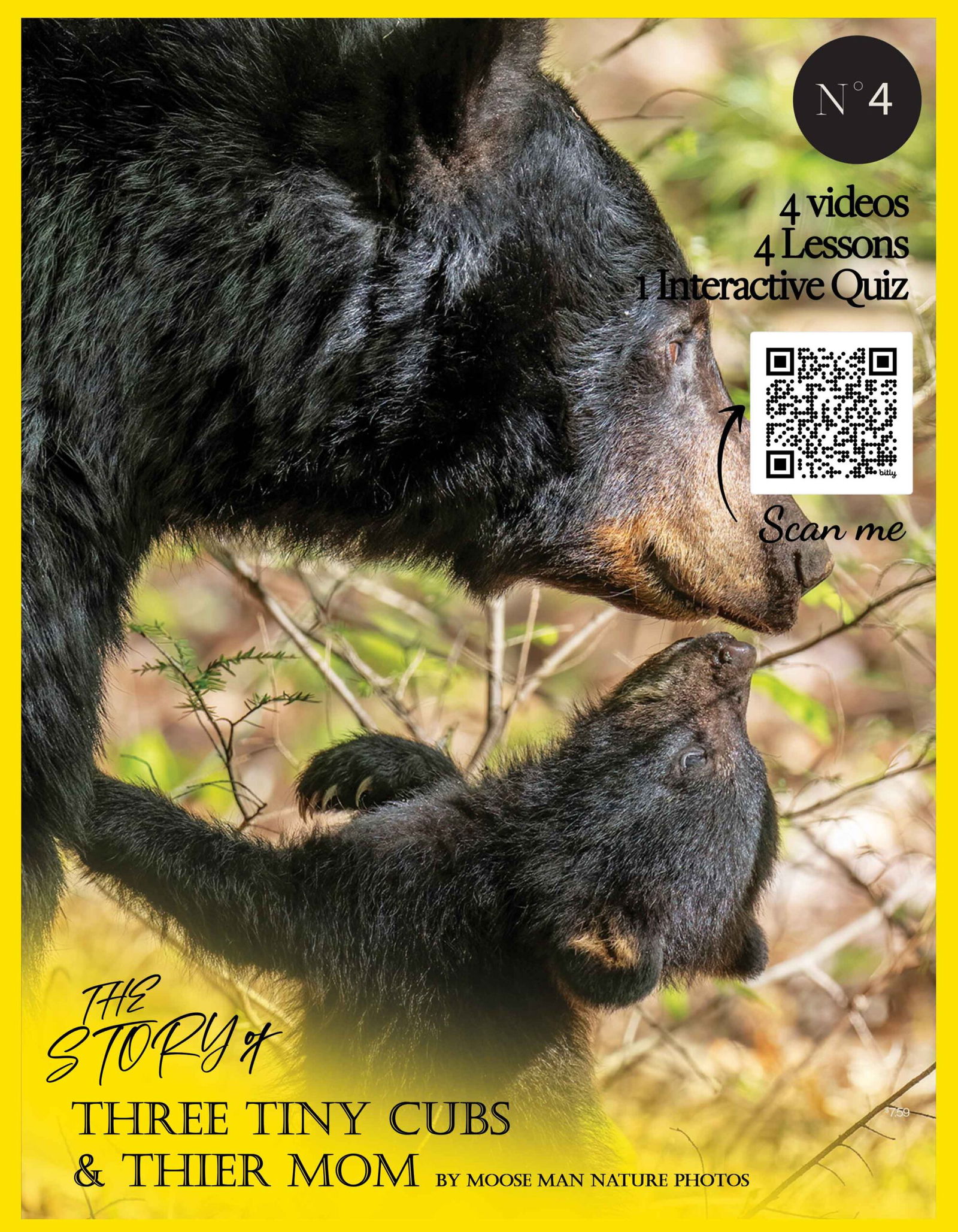 Video-Baby-Black-Bears-Part-4