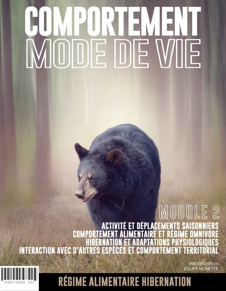 Academie Outdoor Comportement et Mode de Vie 2