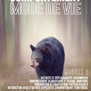 vignette du cours