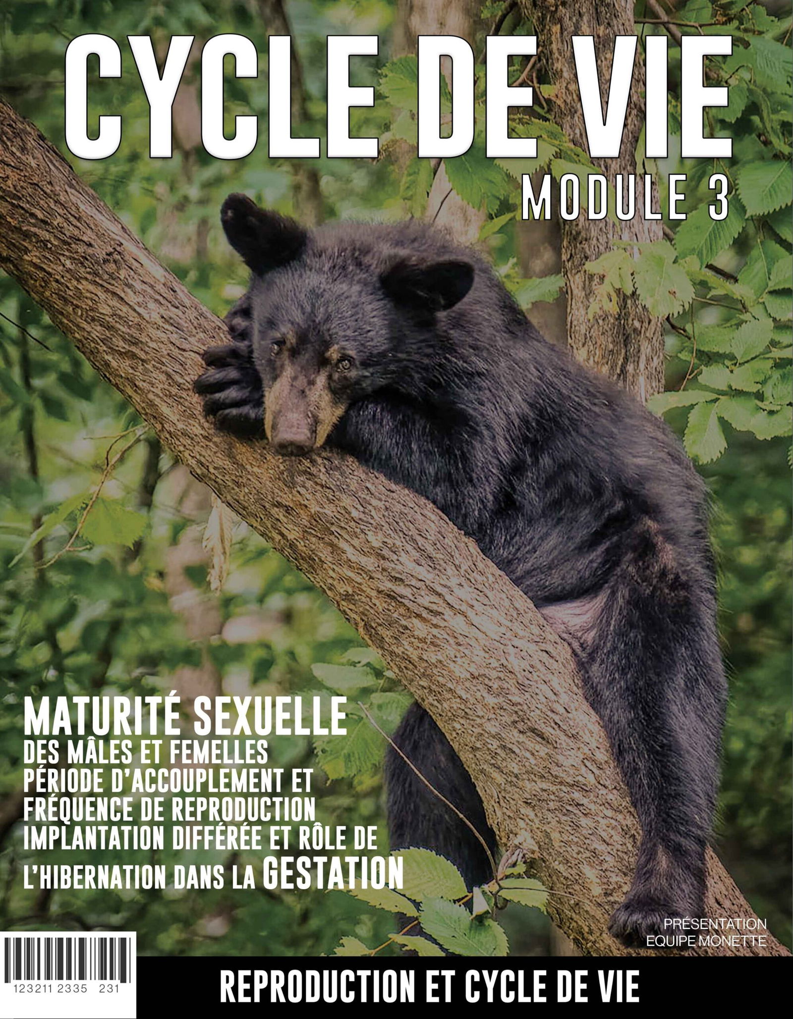 Module-3—Reproduction-et-Cycle-de-Vie