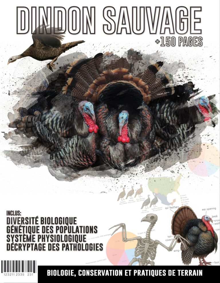 Dindon Sauvage: Biologie, Conservation et Pratiques de Terrain
