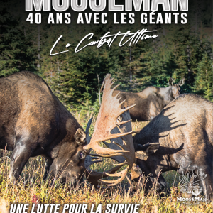 vignette du cours