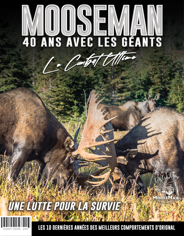 Academie Outdoor Combat ultime
