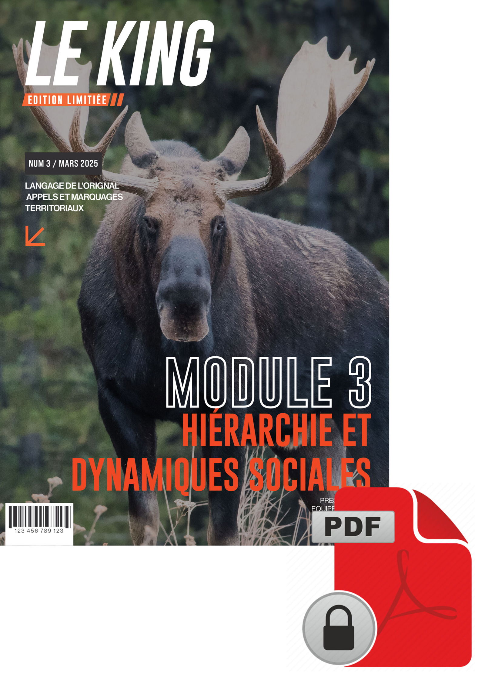 Academie Outdoor MODULE 3 1 scaled