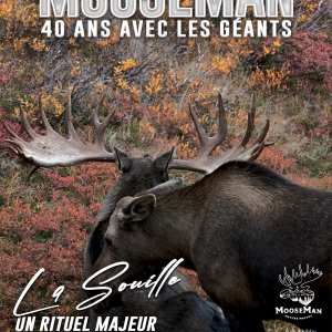 vignette du cours