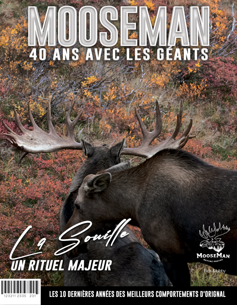 Academie Outdoor souille